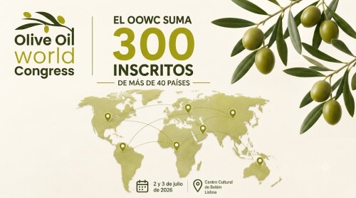 olive oil world.jpg